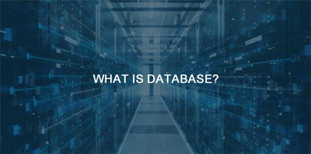 database چیست